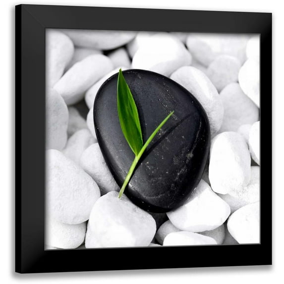 PhotoINC Studio 20x20 Black Modern Framed Museum Art Print Titled - Zen Stone