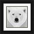 thumbnail image 1 of PhotoINC Studio 20x20 Black Ornate Wood Framed with Double Matting Museum Art Print Titled - Polar Bear, 1 of 4