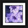 thumbnail image 1 of PhotoINC Studio 20x20 Black Ornate Wood Framed with Double Matting Museum Art Print Titled - Purple Flowers, 1 of 4