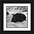 thumbnail image 1 of PhotoINC Studio 20x20 Black Ornate Wood Framed with Double Matting Museum Art Print Titled - Tide Swirl, 1 of 4