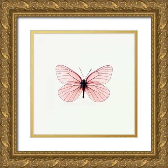 PhotoINC Studio 20x20 Gold Ornate Wood Framed with Double Matting Museum Art Print Titled - Pink Butterfly