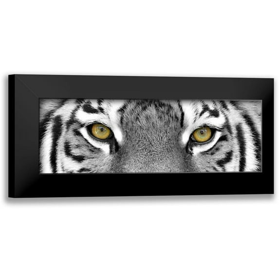 PhotoINC Studio 24x11 Black Modern Framed Museum Art Print Titled - Tiger