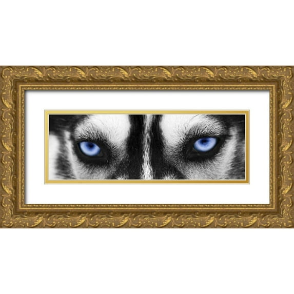 PhotoINC Studio 24x11 Gold Ornate Wood Framed with Double Matting Museum Art Print Titled - Husky
