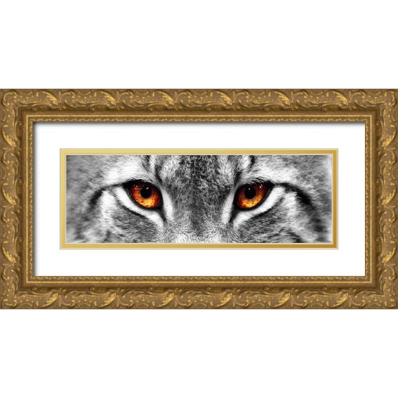 PhotoINC Studio 24x11 Gold Ornate Wood Framed with Double Matting Museum Art Print Titled - Lynx