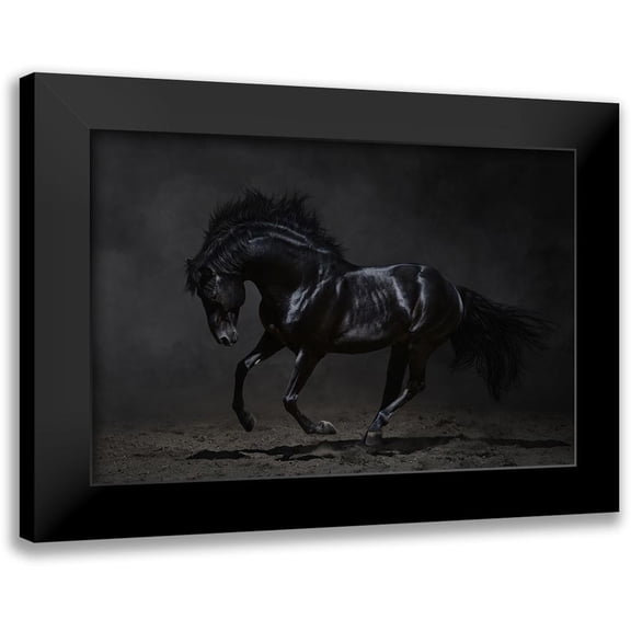 PhotoINC Studio 24x17 Black Modern Framed Museum Art Print Titled - Onyx