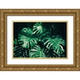 thumbnail image 1 of PhotoINC Studio 24x17 Gold Ornate Wood Framed with Double Matting Museum Art Print Titled - Tropical, 1 of 4