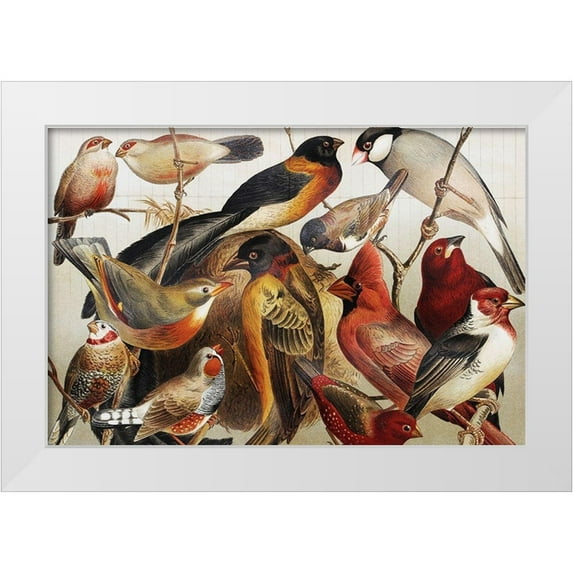 PhotoINC Studio 24x17 White Modern Wood Framed Museum Art Print Titled - Collection II