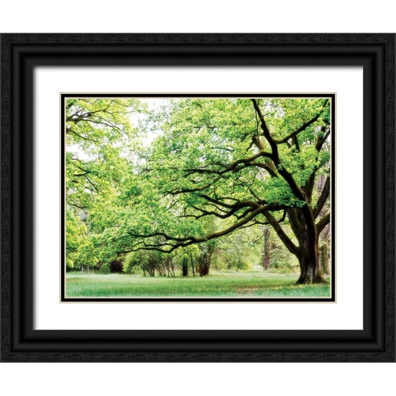 PhotoINC Studio 24x19 Black Ornate Wood Framed with Double Matting Museum Art Print Titled - Green Woods 4