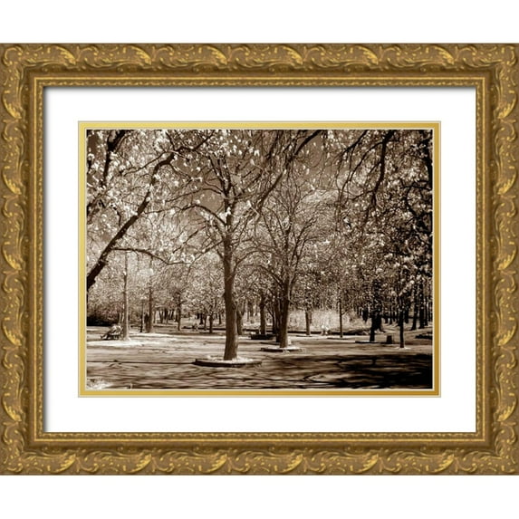 PhotoINC Studio 24x19 Gold Ornate Wood Framed with Double Matting Museum Art Print Titled - Cherry Tree Park