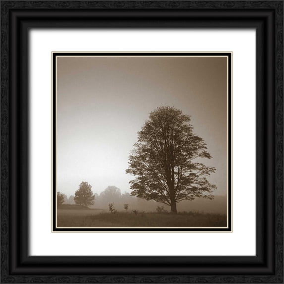 PhotoINC Studio 26x26 Black Ornate Wood Framed with Double Matting Museum Art Print Titled - Stillness