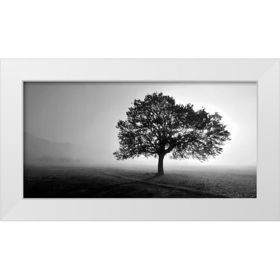 PhotoINC Studio 32x18 White Modern Wood Framed Museum Art Print Titled - Tree in Mist