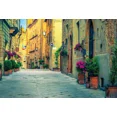 thumbnail image 1 of Photocall Studio Photo Background Photo Scenic Alley Flowers Potted House St Town Old Photography Backdrops Spring, 1 of 5