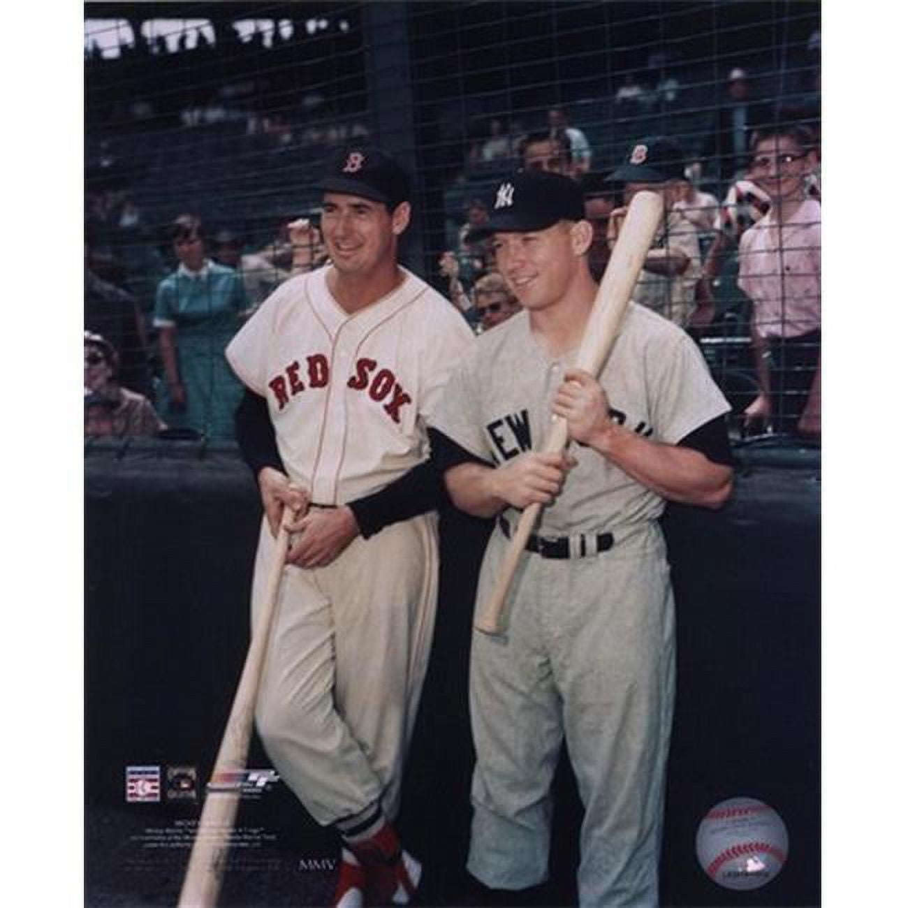 Ted Williams Posters & Wall Art Prints