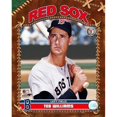 thumbnail image 1 of Photofile PFSAAIA06201 Ted Williams - Studio Plus Sports Photo - 8 x 10, 1 of 1
