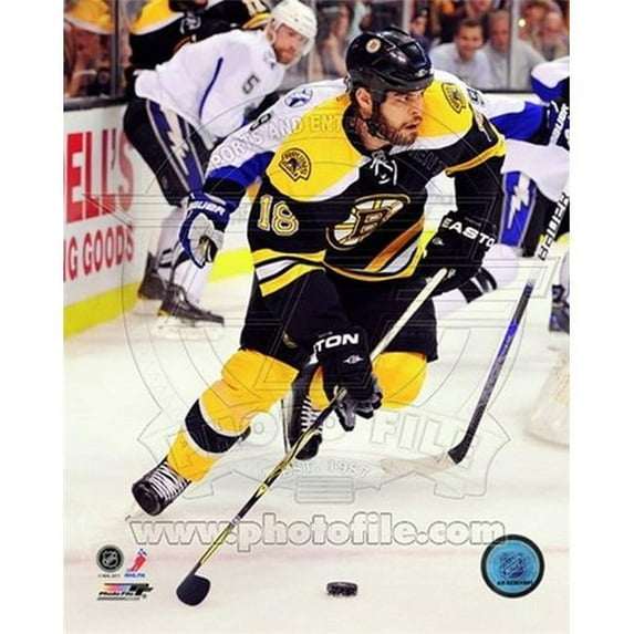 Photofile PFSAANQ04501 Nathan Horton 2010-11 Playoff Action Sports Photo - 8 x 10