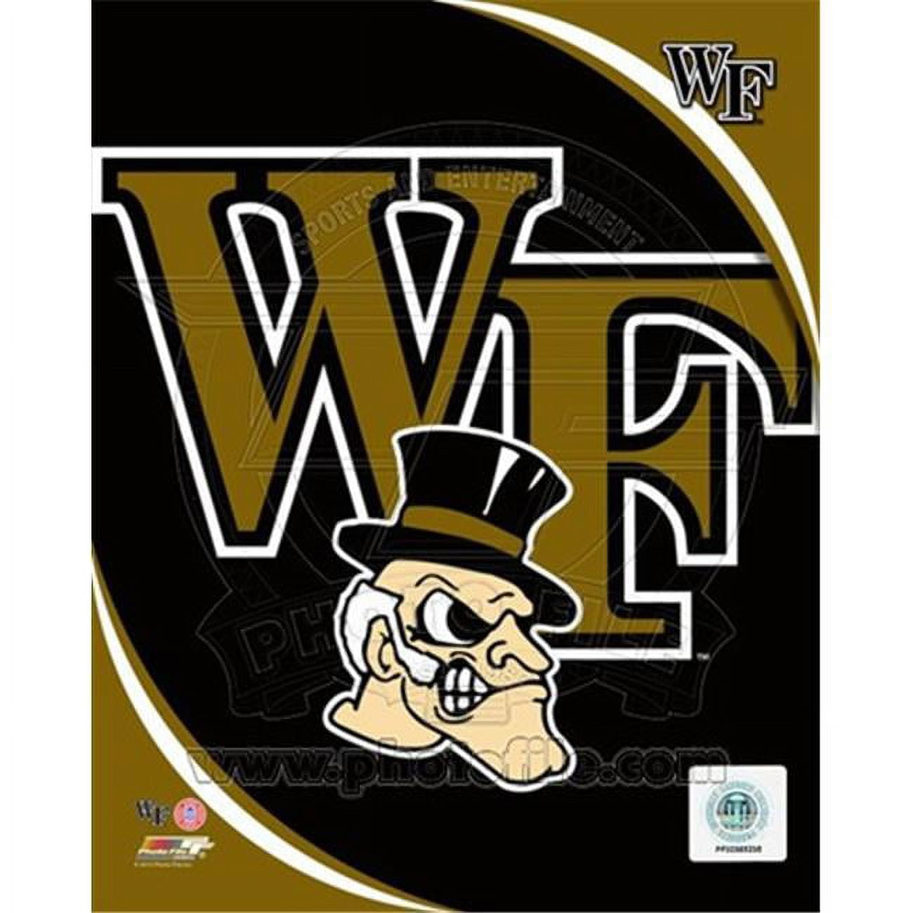 Wake Forest University Demon Deacons Team Logo Decor Picture by