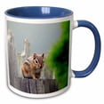 thumbnail image 1 of 3drose, Photograph Caught of a Staring Contest with a Chipmunk., 15oz Two-tone Blue Mug, 1 of 6