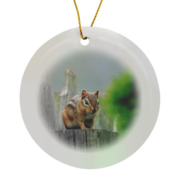 3drose, Photograph Caught of a Staring Contest with a Chipmunk., Circle Porcelain Ornament