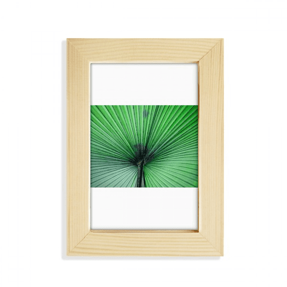 Photograph Fresh Picture Nature Desktop Display Photo Frame Picture Art Painting 5x7 inch