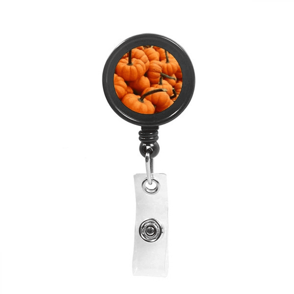 Photograph Fresh Pumpkin Picture Nature Retractable Keychain Badge Holder ID Badge