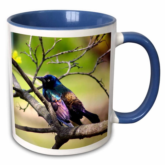 3drose, Photograph of a Colorful Common Grackle Sitting Among the Branches., 15oz Two-tone Blue Mug