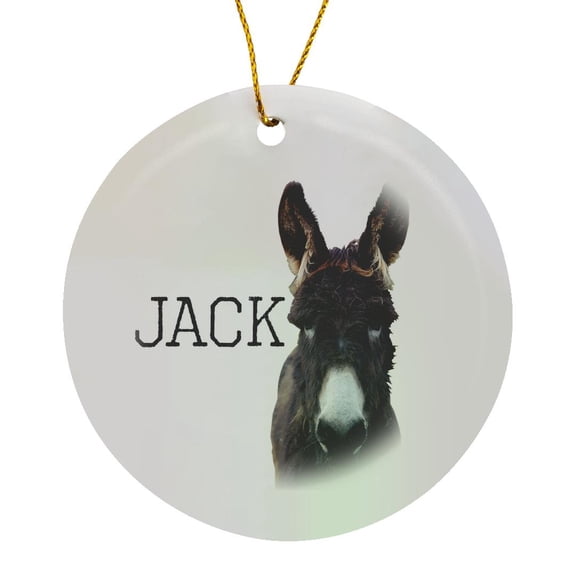 3drose, Photograph of a Donkey on White Background - Jackass., Circle Porcelain Ornament