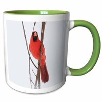 3drose, Photograph of a Male Northern Cardinal on a Branch During a Snow Storm, 11oz Two-tone Green Mug
