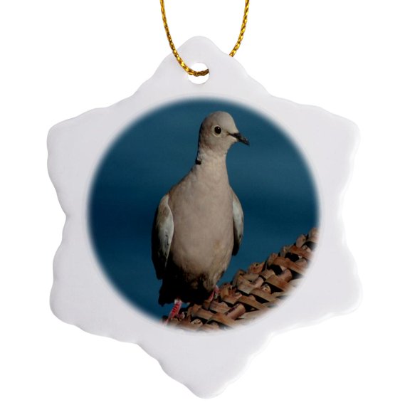 3drose, Photograph of a Ring Necked Turtle Dove Perched on a Parasol, 3 inch Snowflake Porcelain Ornament