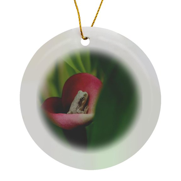3drose, Photograph of a Tiny Frog Hiding in a Beautiful Pink Calla Lily., Circle Porcelain Ornament
