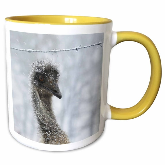 3drose, Photograph of an Emu Wondering What the Heck All the White Stuff Is., 11oz Two-tone Yellow Mug