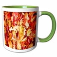 thumbnail image 1 of 3drose, Photograph of Autumn Leaves, 15oz Two-tone Green Mug, 1 of 6