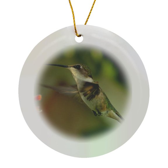 3drose, Photograph of Female Ruby-throated Hummingbird Posing for the Camera., Circle Porcelain Ornament
