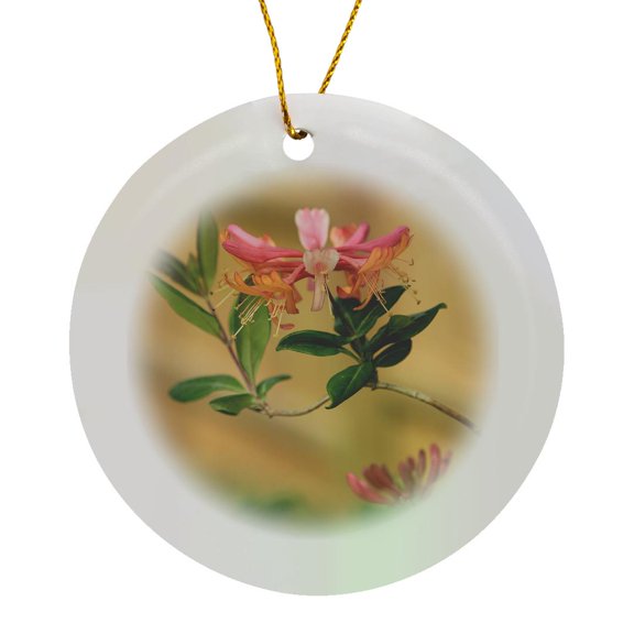3drose, Photograph of Firecracker Honeysuckle from Our Garden in Full Bloom., Circle Porcelain Ornament