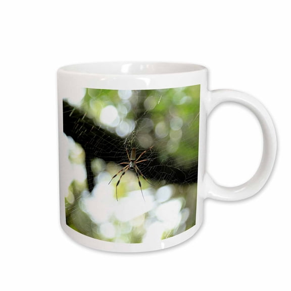 3drose, Photograph of Golden Silk Orb Weaver Hanging Out in Its Intricate Web., 11oz Mug