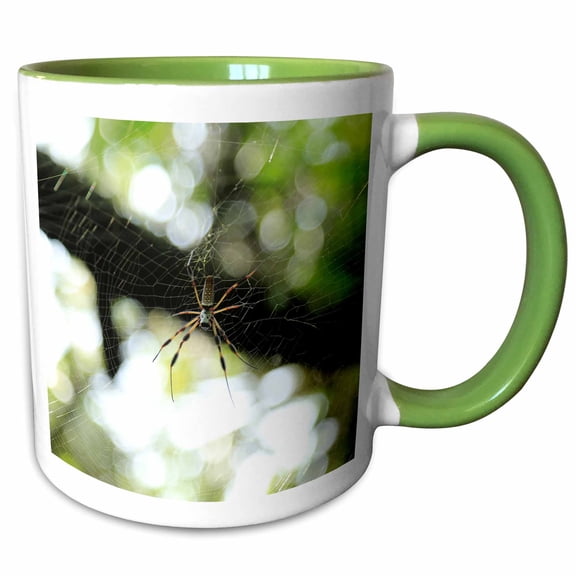3drose, Photograph of Golden Silk Orb Weaver Hanging Out in Its Intricate Web., 11oz Two-tone Green Mug