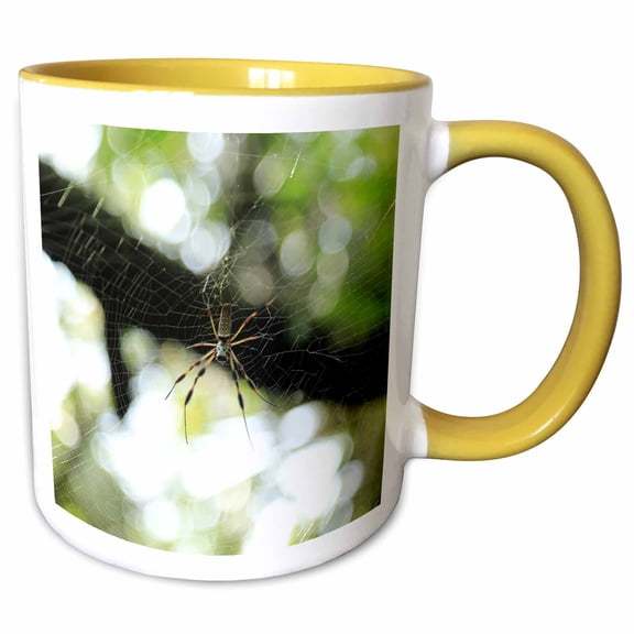 3drose, Photograph of Golden Silk Orb Weaver Hanging Out in Its Intricate Web., 11oz Two-tone Yellow Mug