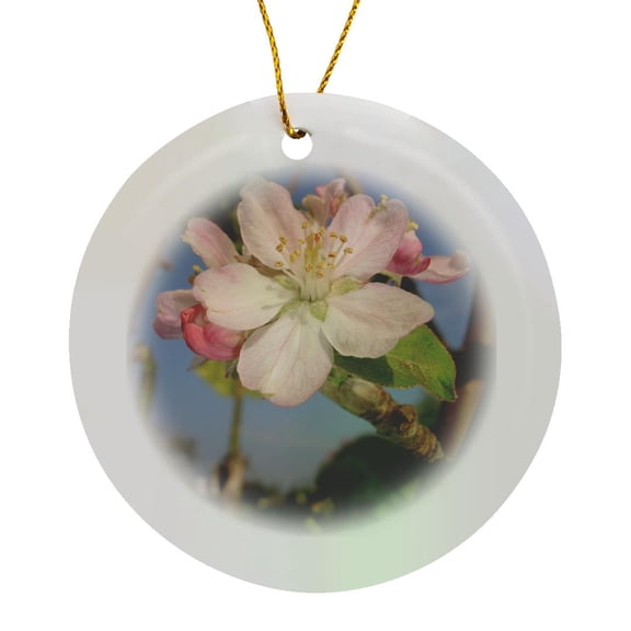3drose, Photograph of Springtime Apple Blossom with White Petals, Circle Porcelain Ornament