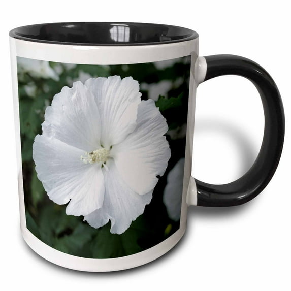 Photograph of a rare all white Rose of Sharon growing in our garden. 15oz Two-Tone Black Mug mug-301384-9