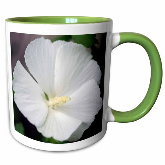 Photograph of a single pure white Rose of Sharon flower 11oz Two-Tone Green Mug mug-337936-7