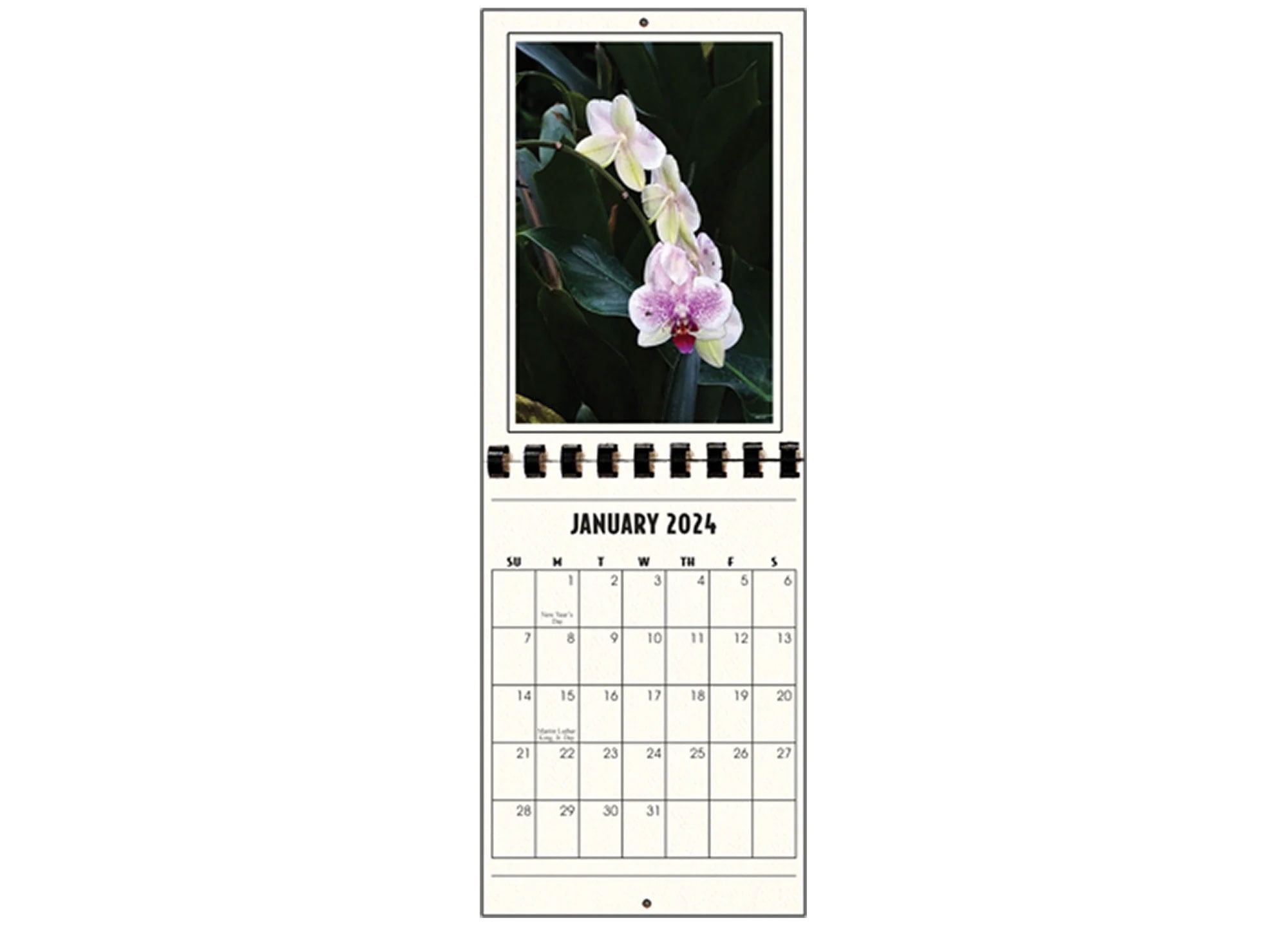 Photographer's Edge, 2024 Photo Mount Wall Calendars, for Vertical 4x6