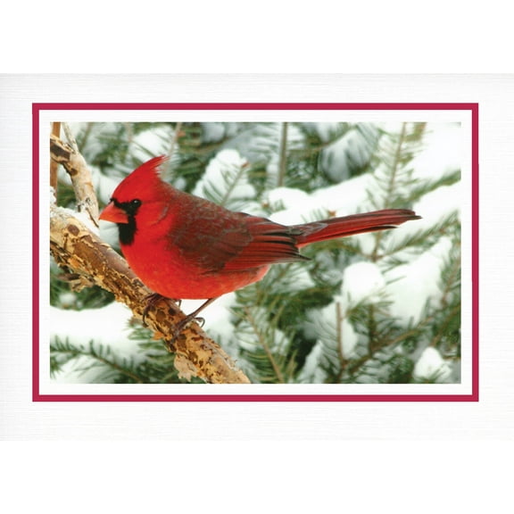 Photographer's Edge, Photo Insert Card, Snow White Linen, Red Foil Border, Set of 10 for 4x6 Photos