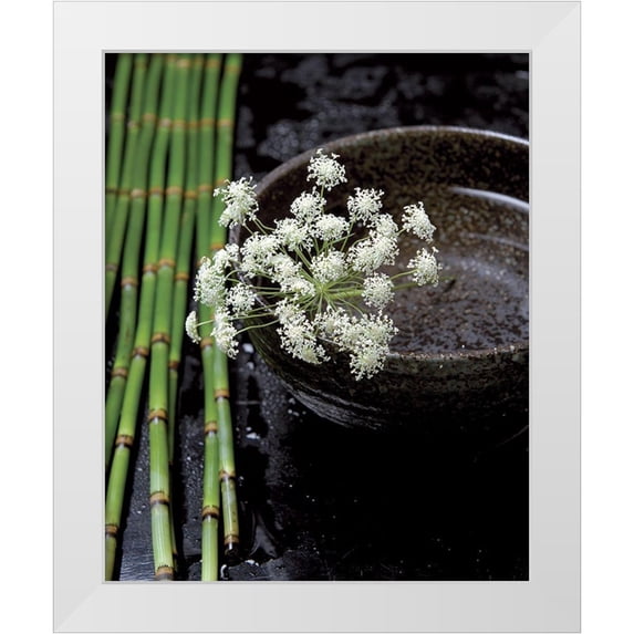 Photographie Collection 12x14 White Modern Wood Framed Museum Art Print Titled - Printemps de bambous