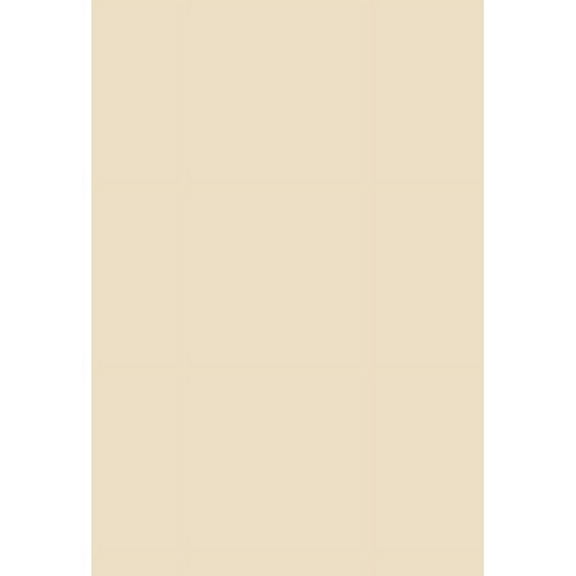 Photography Backdrop Solid Color Photo Background for Photographers Studio MW-185