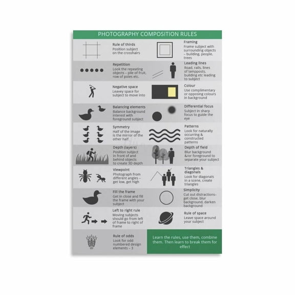 Photography Composition Rules Guide Poster (5) Canvas Painting Posters And Prints Wall Art Pictures for Living Room Bedroom Decor