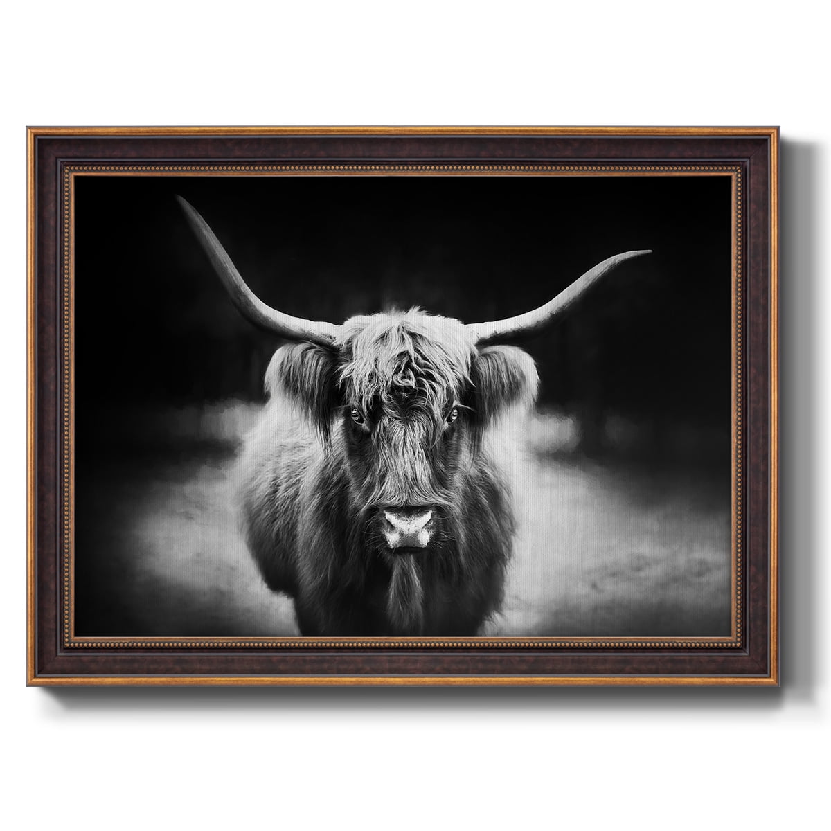 Photography Study Highland Cattle Premium Framed Canvas- Ready to Hang