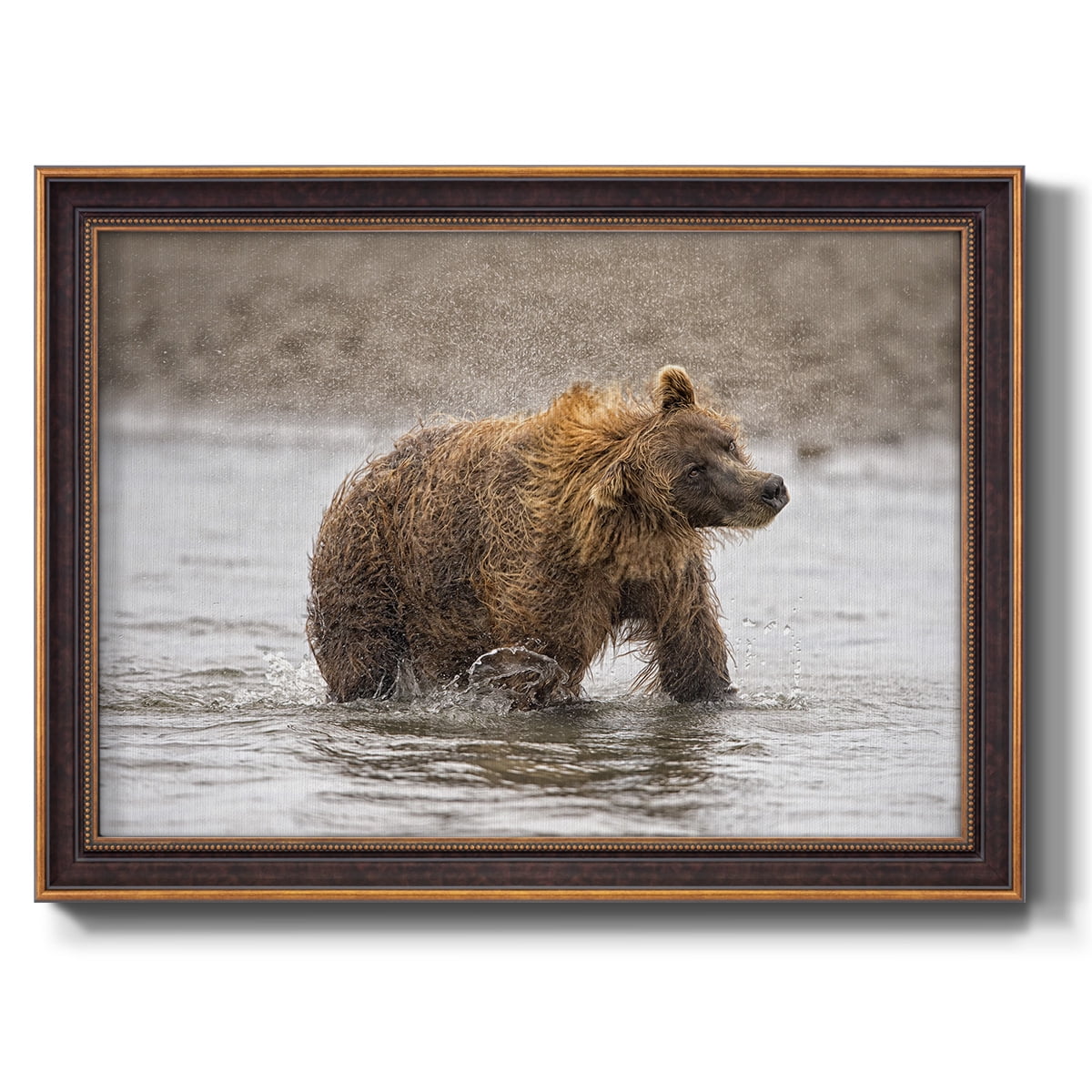 Photography Study Shake it Off Premium Framed Canvas- Ready to Hang