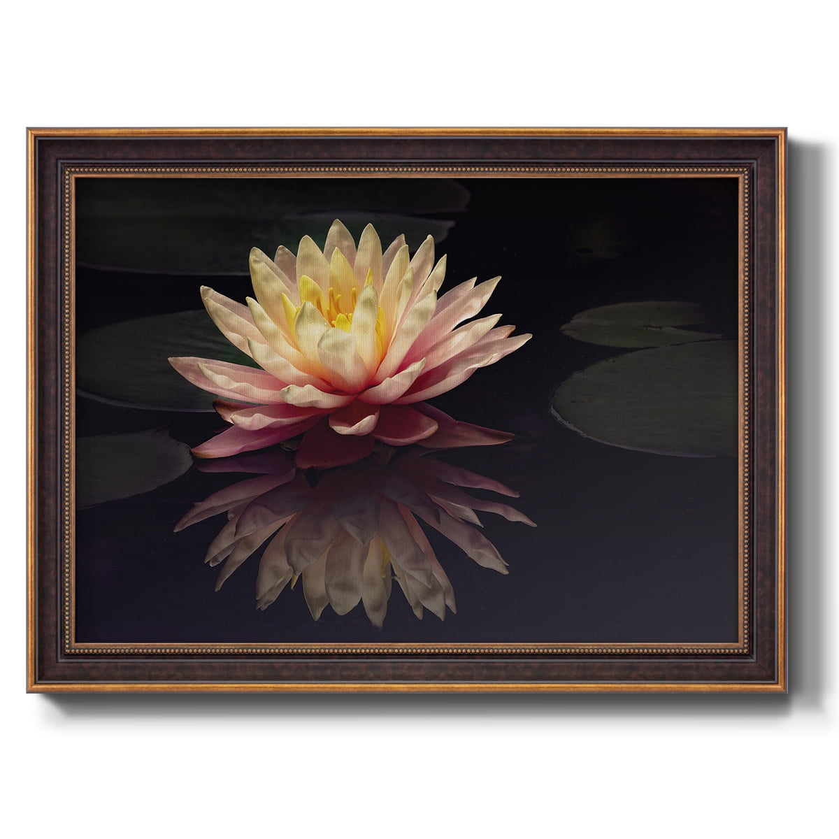 Photography Study Water Lily Premium Framed Canvas- Ready to Hang