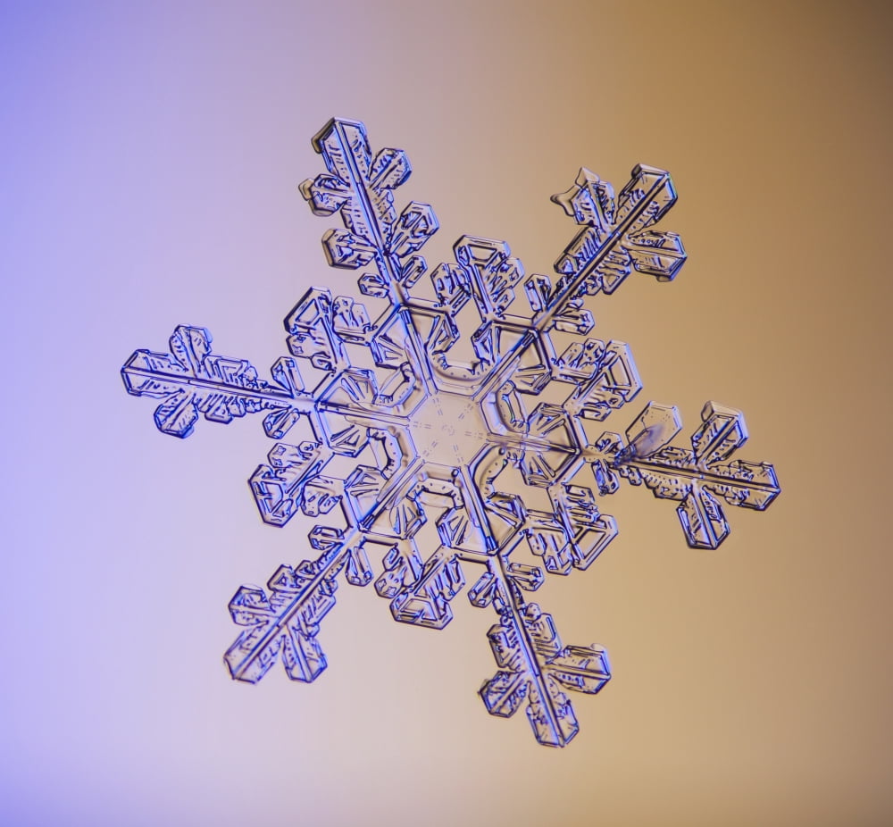 Photomicroscopic close up of a snowflake crystal Alaska Canvas Art - Marion Owen Design Pics (32 x 28)