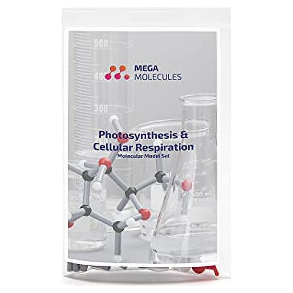 Photosynthesis And Cellular Respiration Molecular Model Set