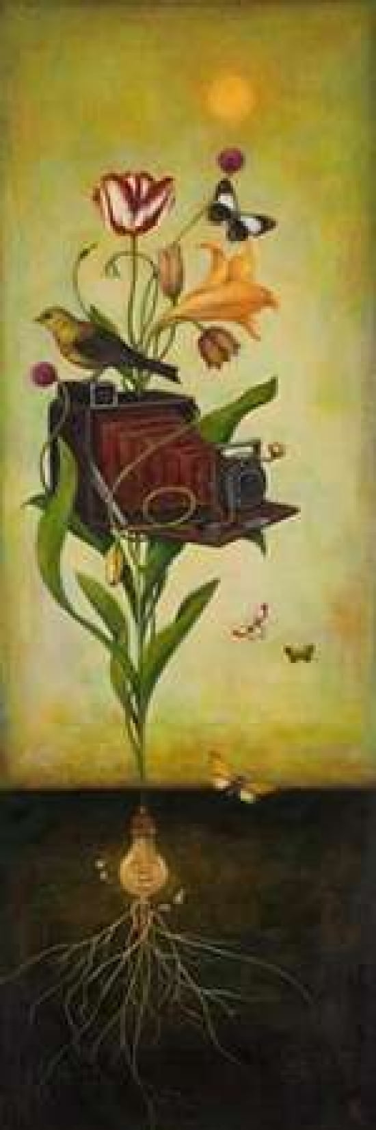 Photosynthesis Bliss Canvas Art - Duy Huynh (12 x 36)